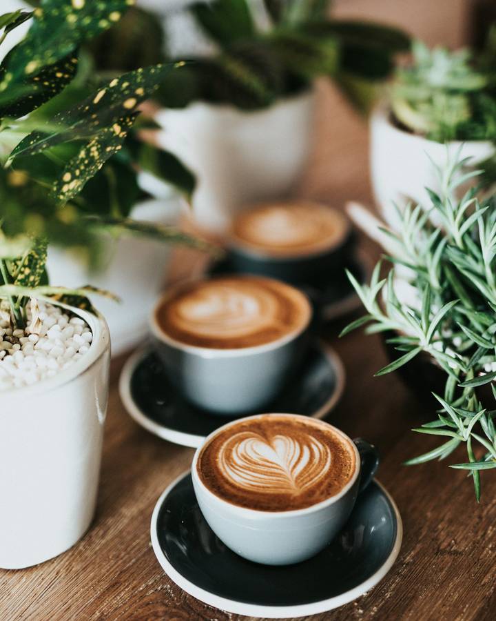 Capuchino