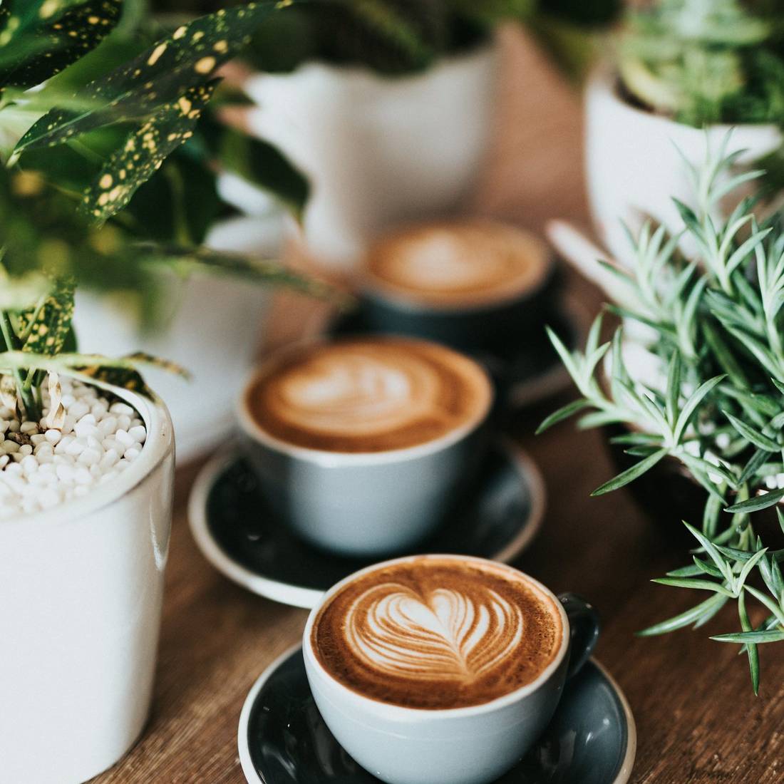Capuchino