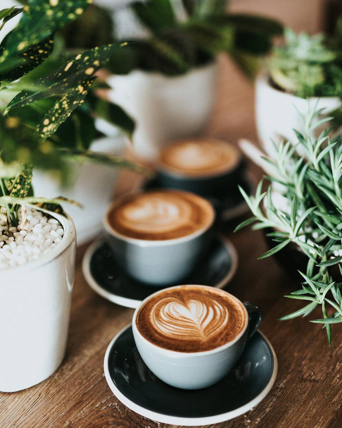 Capuchino
